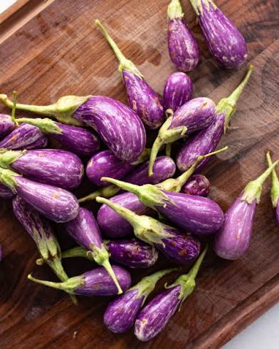 Bradford Farm Availability & Updates 8/11/25-8/15/25