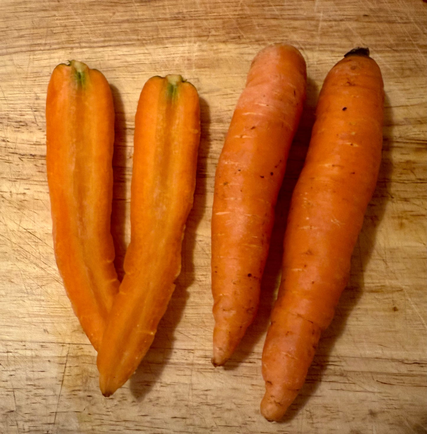 Carrots- Bolero - 10lb Case