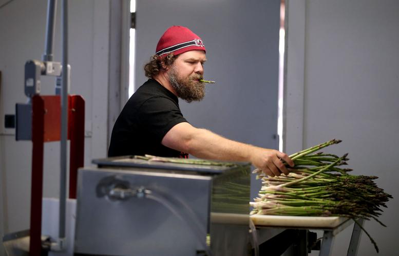 Asparagus - Monetta - 11lb Case