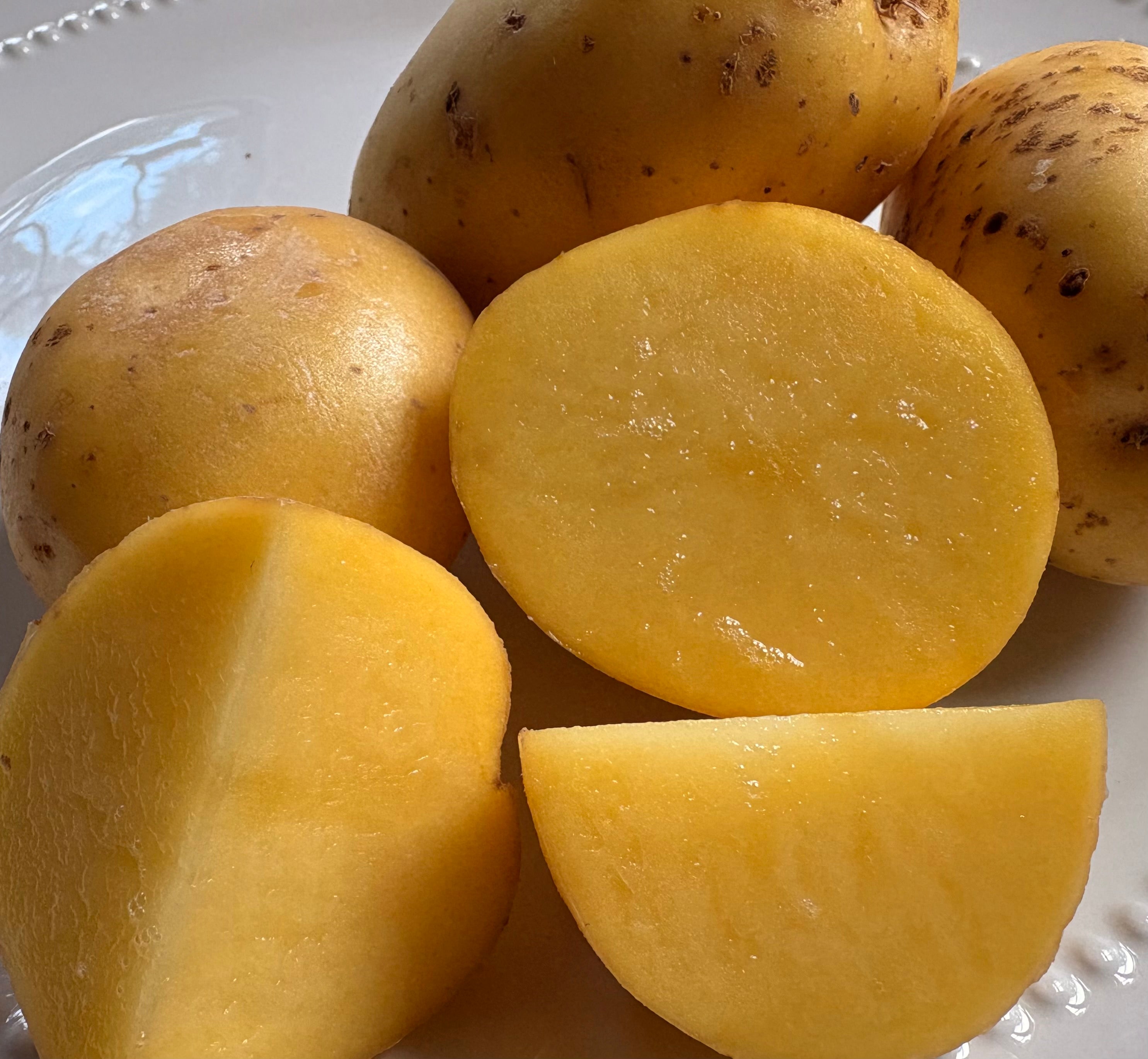 Potatoes - Appalachian Gold 20lb – Bradford Farm