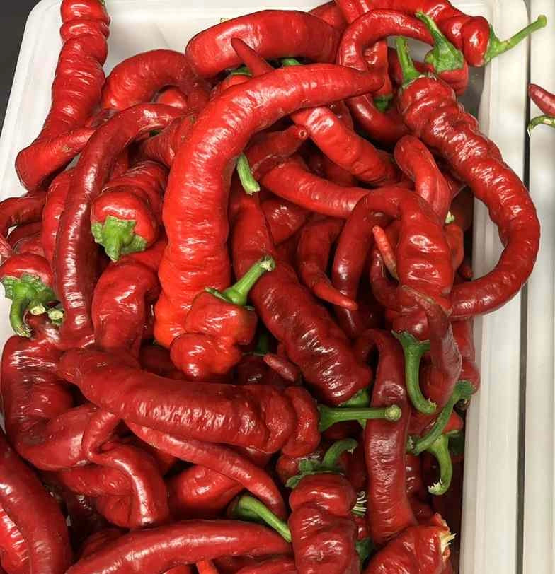 Pepper - Jimmy Nardello 9lb