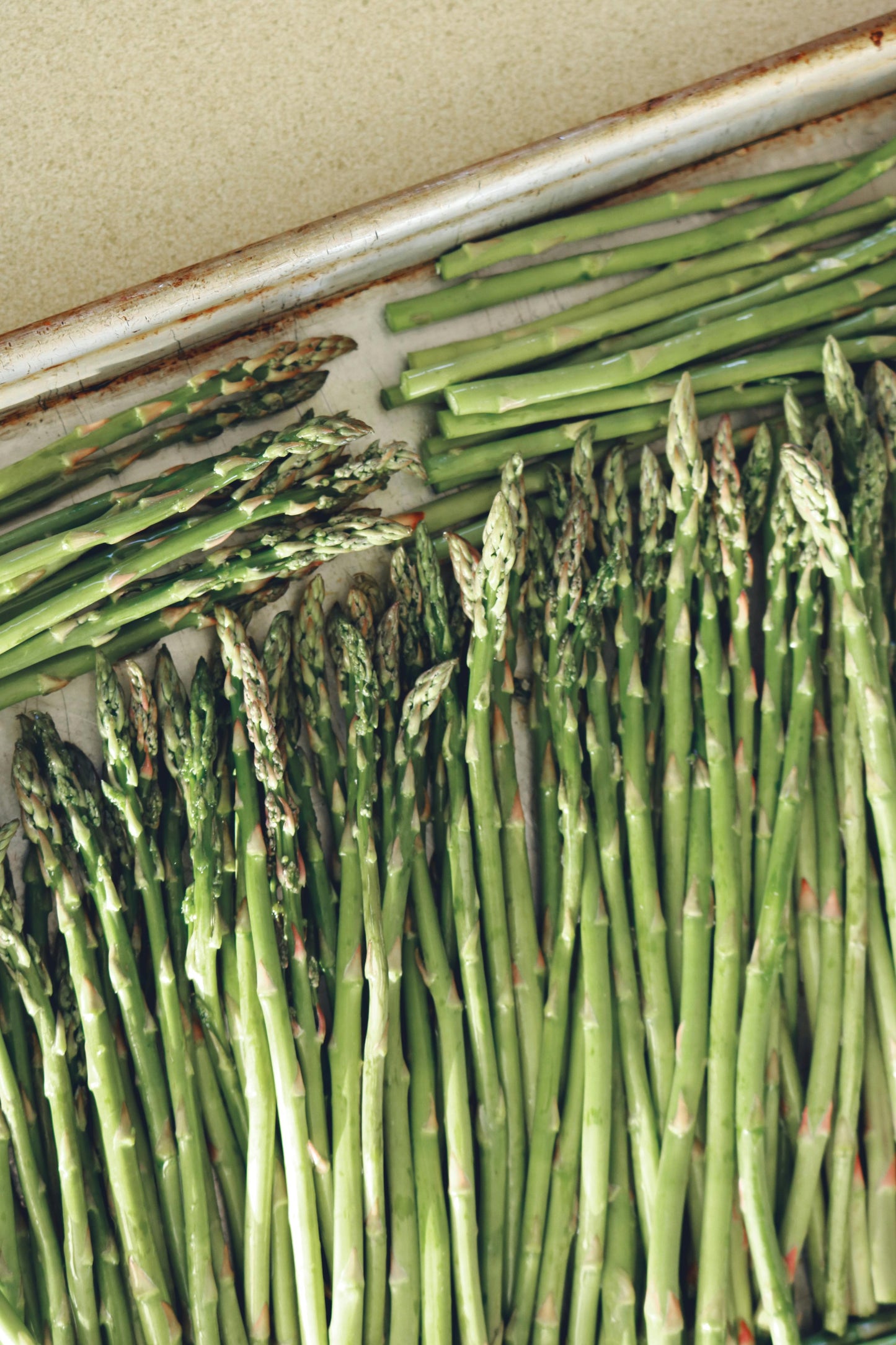 Asparagus - Monetta - 11lb Case