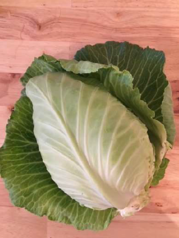 Cabbage, Charleston Wakefield - 10lb Case