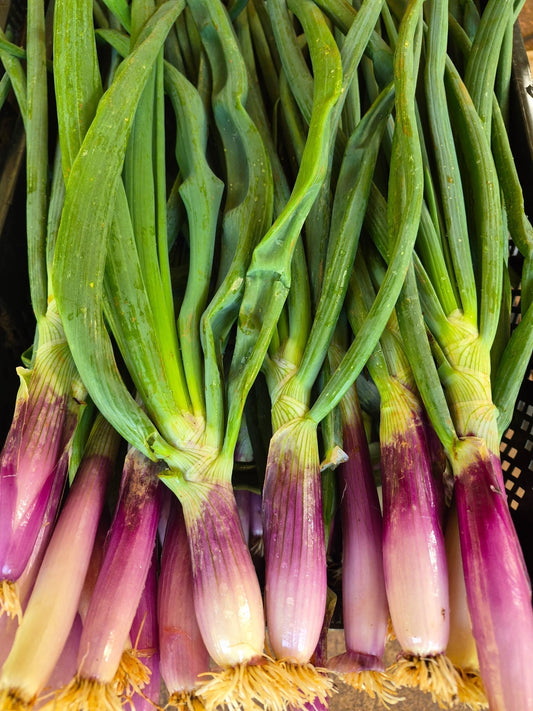 Bradford Farm Availability & Updates 4/27/26 - 5/1/26