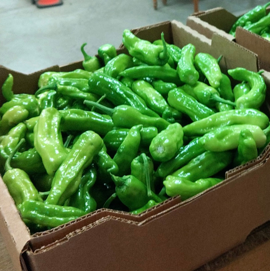 Bradford Farm Availability & Updates 6/29/26-7/3/26