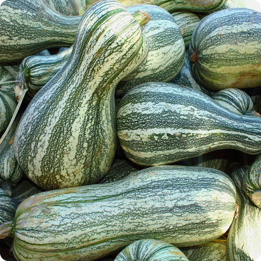 Bradford Farm Availability & Updates 9/22/25-9/26/25