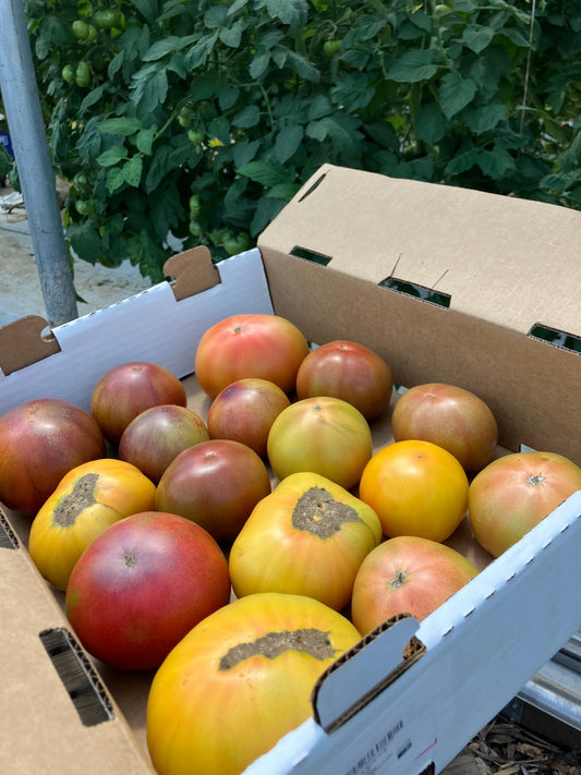 Bradford Farm Availability & Updates 6/22/26-6/26/26
