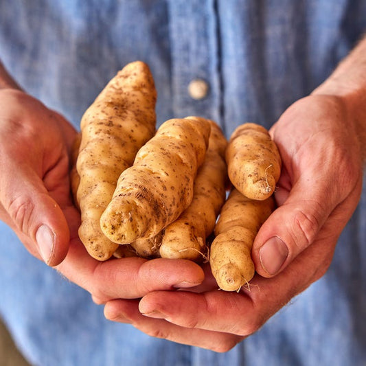Bradford Farm Availability & Updates 7/13/26-7/17/26
