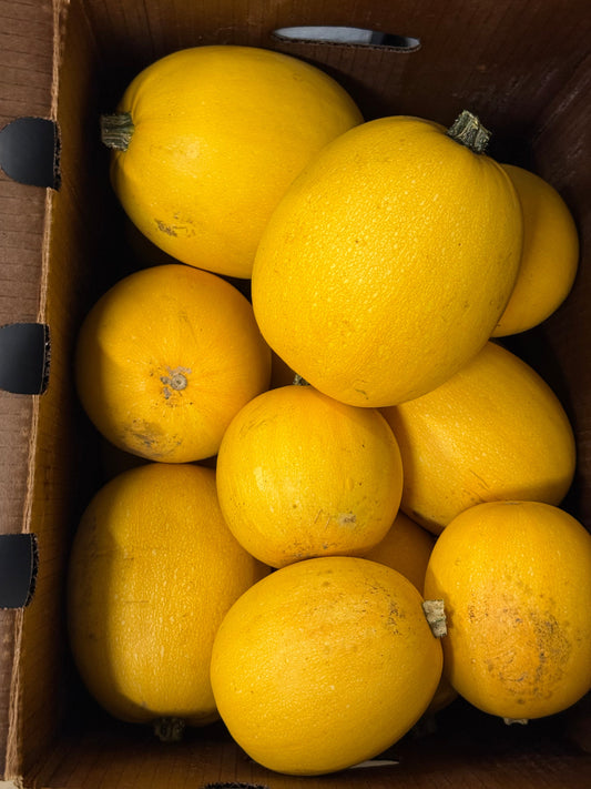 Bradford Farm Availability & Updates 8/10/26-8/14/26