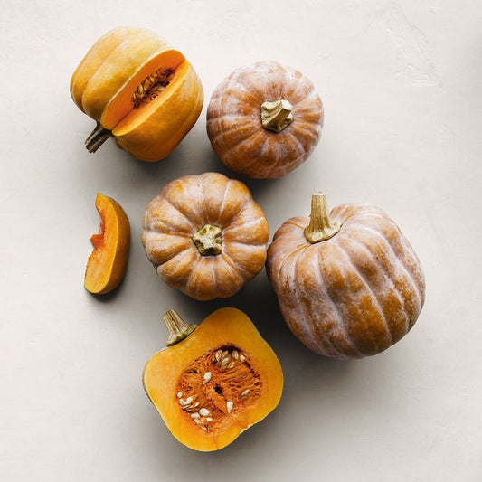 Bradford Farm Availability & Updates 9/14/26-9/18/26
