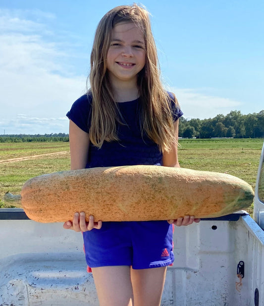 Bradford Farm Availability & Updates 12/1/25-12/4/25