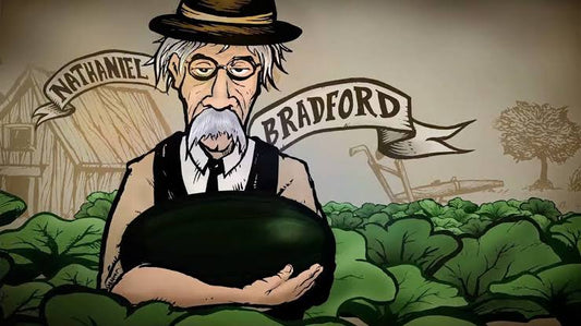 Bradford Farm Availability & Updates 10/26/26-10/30/26