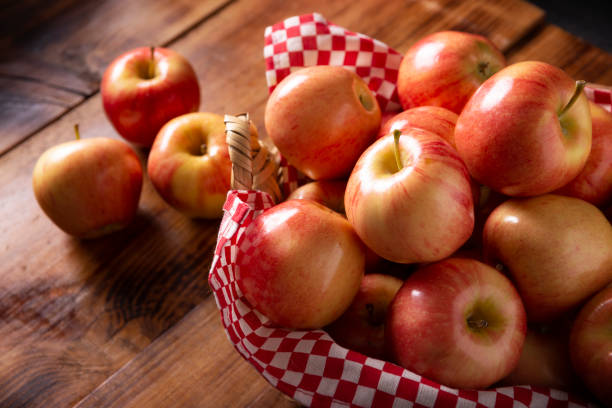 Bradford Farm Availability& Updates 9/28/26-10/2/26