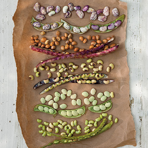 Bradford Farm Availability & Updates 9/21/26-9/25/26