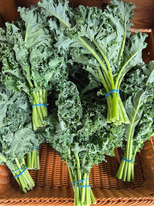 Kale - Matt Fry Curly Green - 3LB