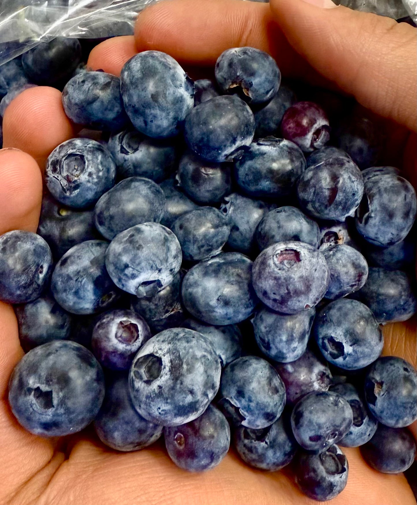 Blueberries - 6 Pint case