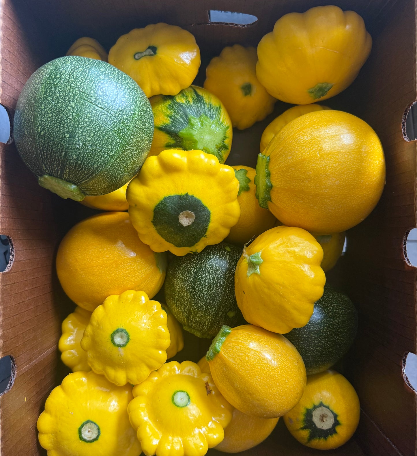 Squash medley - 10lb
