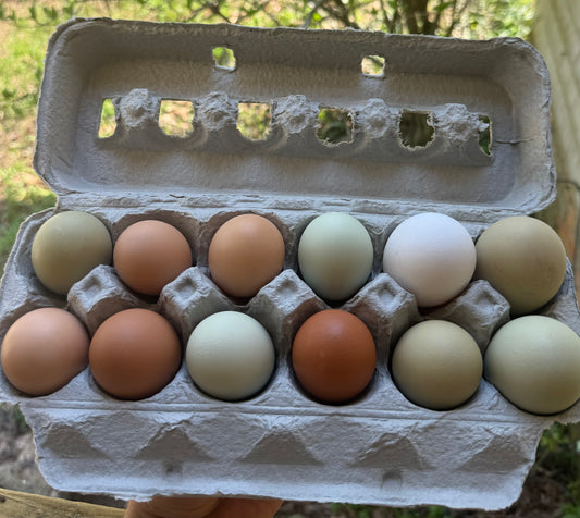 Eggs - Organic - Wild Hope Farm 15 doz