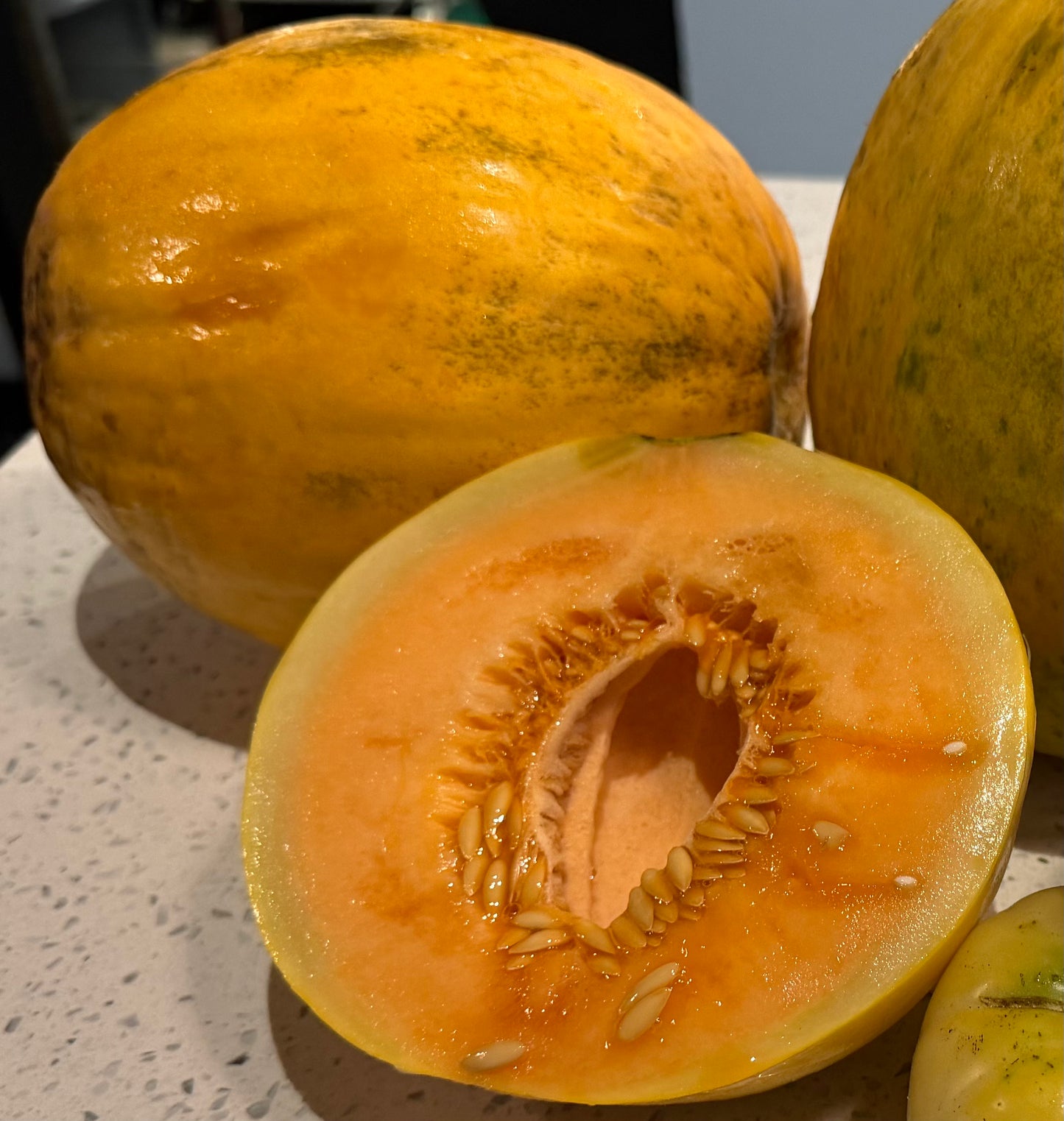 Cantaloupe - African Nutmeg - 1 count