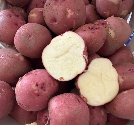 Pontiac Potato, Red - 10lb