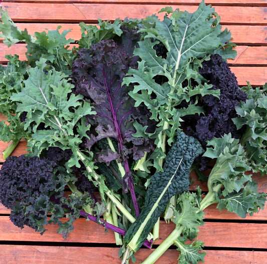 Kale - Loose Leaf - Mixed Varieties - 3lb