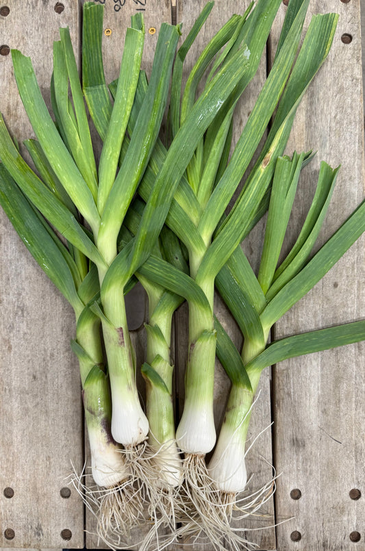 Green Garlic - 48 oz.
