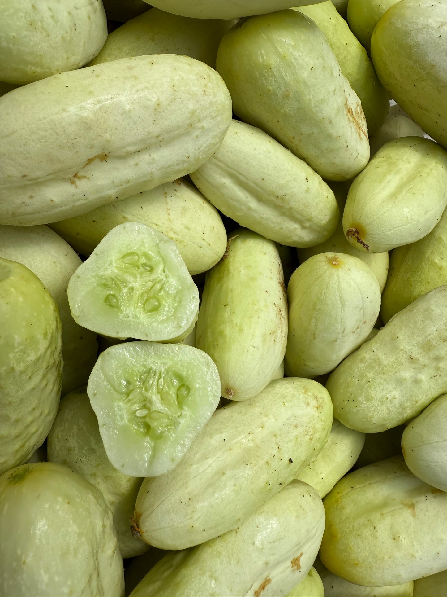 Wicker White Cucumber - 10lb Case