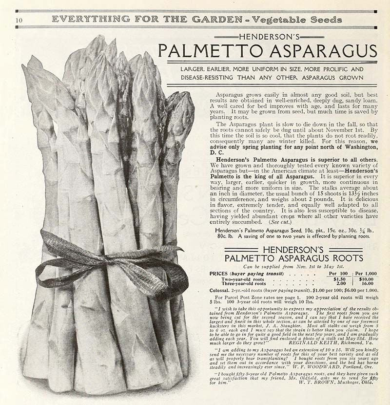 Asparagus - Monetta - 11lb Case
