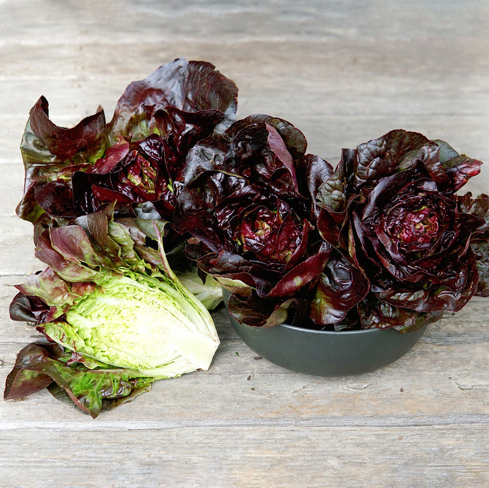Lettuce - Rosaine Little Gem 24ct