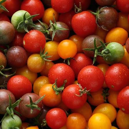 Tomato - Cherry - Heirloom Mix 10lb