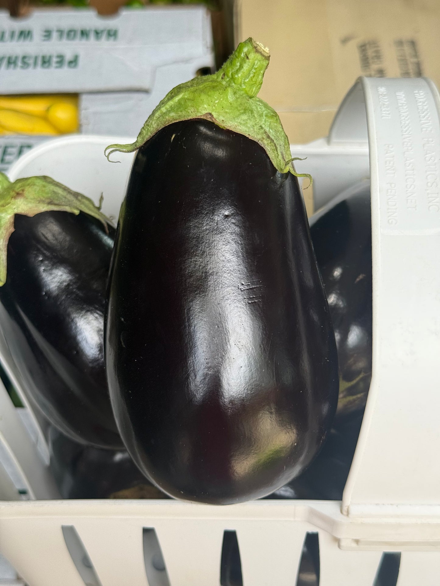 Eggplant, Purple - 10lb