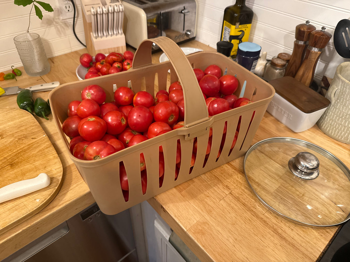 *Tomato - Plate de Haiti (Heirloom - Paste/Sauce/Fresh) 20lb