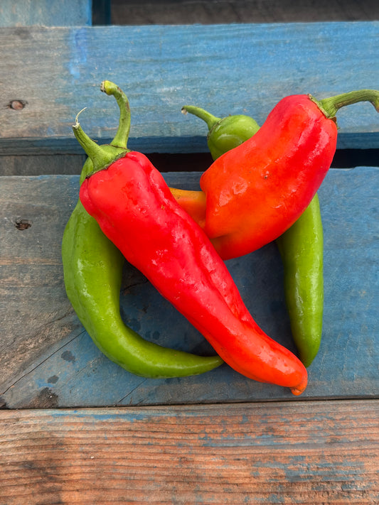 Pepper - Italian Frying Mixed - Bright Sage - Sweet Vermillion and Rich Chocolate - 9lbs