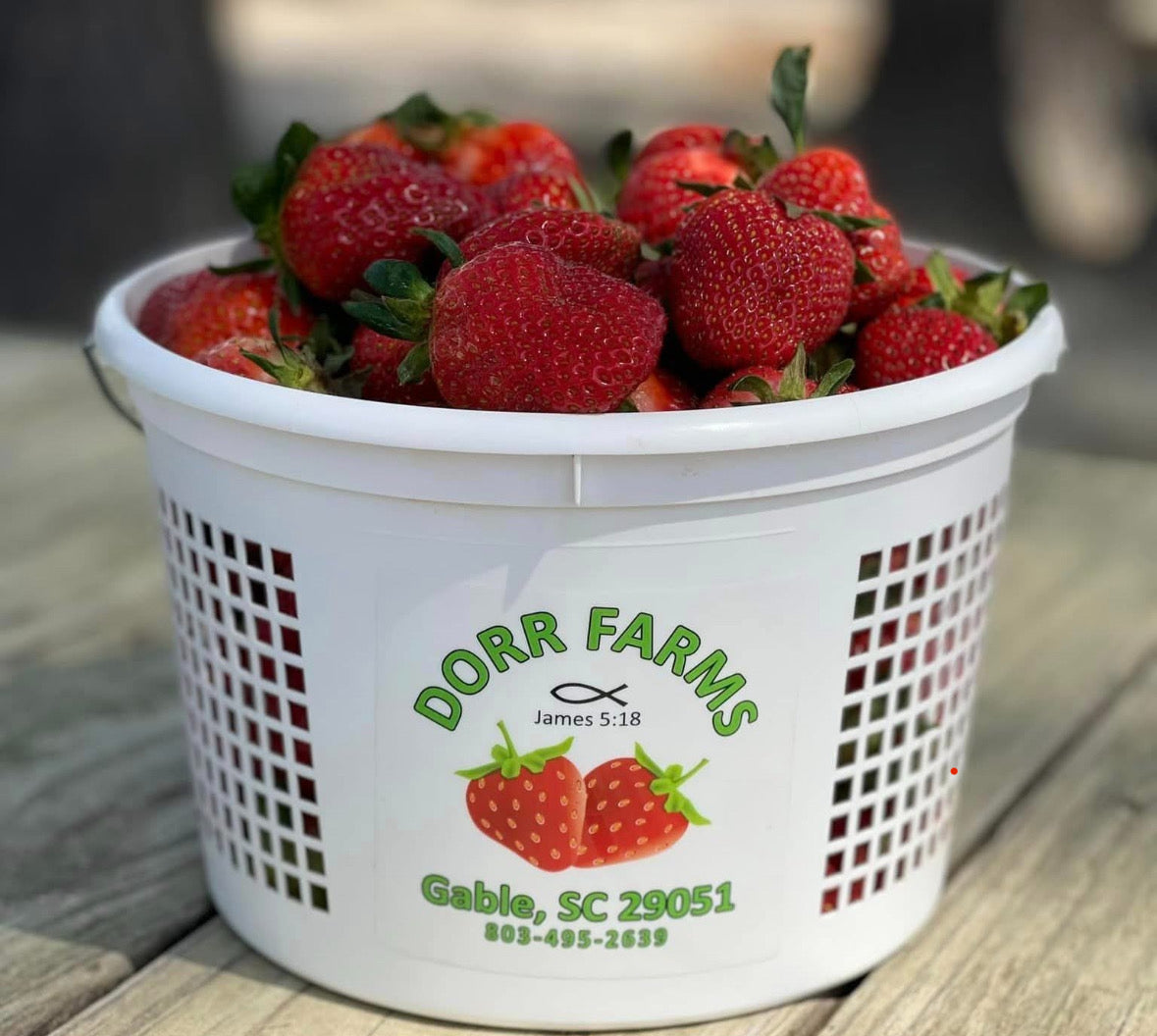 Strawberries - 2 Gallon