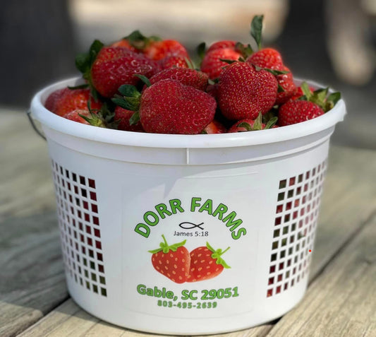 Strawberries - 2 Gallon