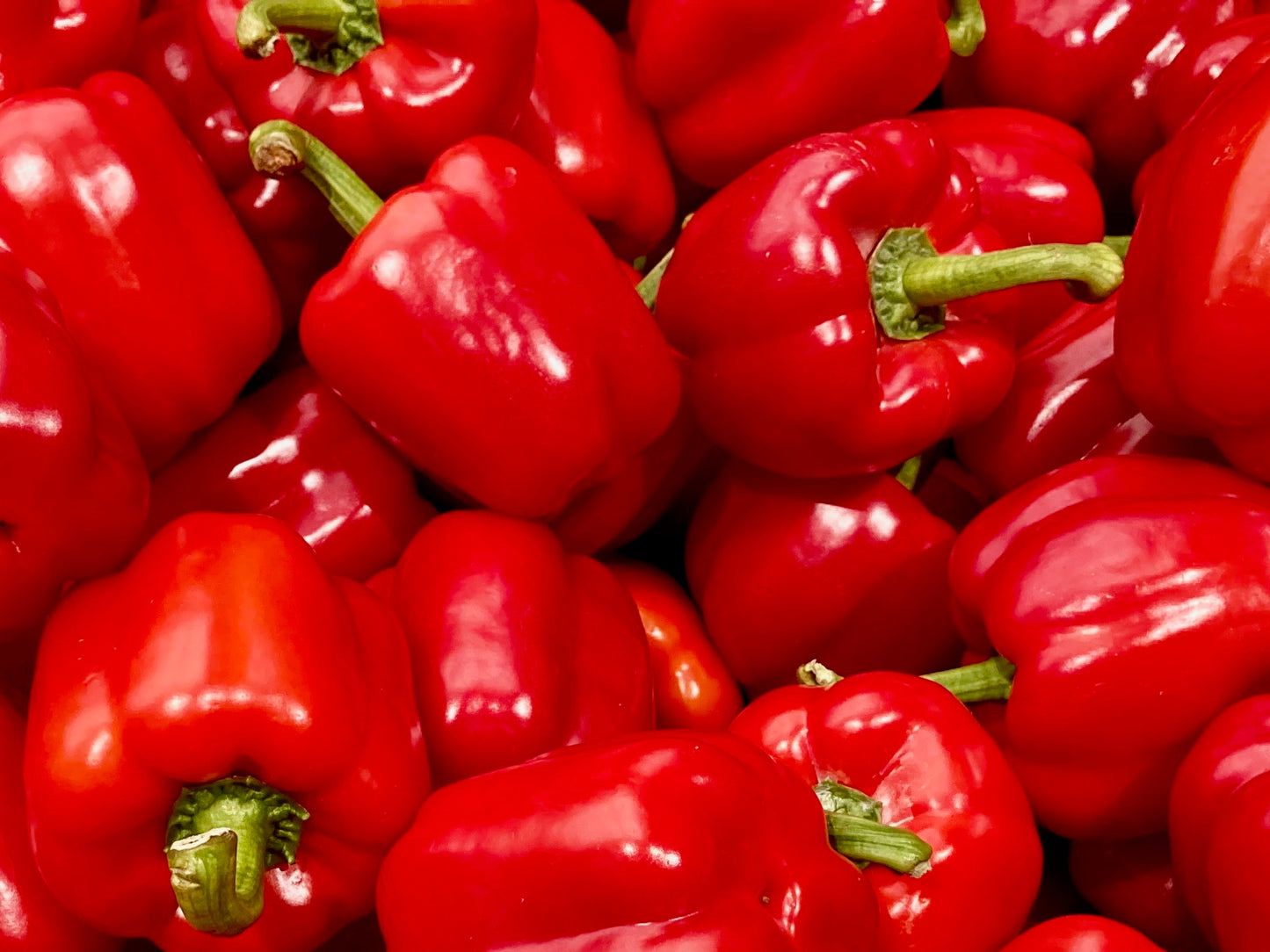 Pepper, Bell, Red - 10lb Case
