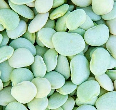 Butterbean, Green, Fresh Peas - 8lb Bag