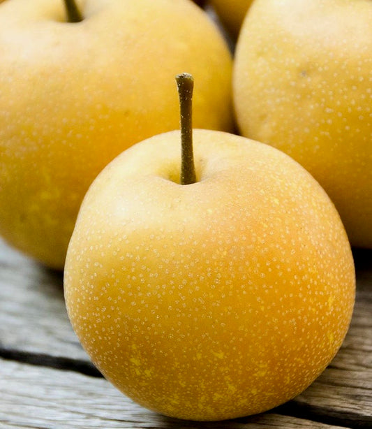Pear Asian - Half Bushel