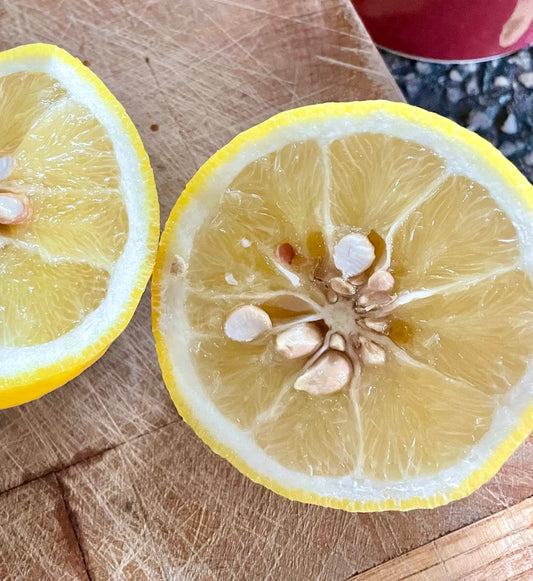 Lemon - Citrumelo 12ct