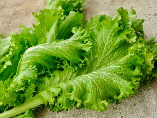 Mustard Greens - Curly 7lb