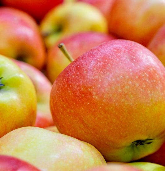 Apple - Jona Gold