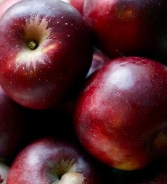 Apple - Arkansas Black
