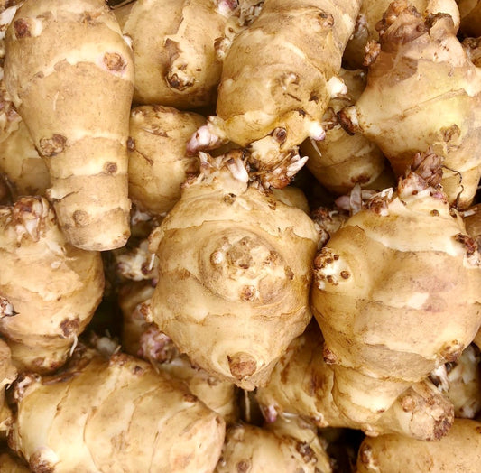 Sunchoke - 10lb Bag