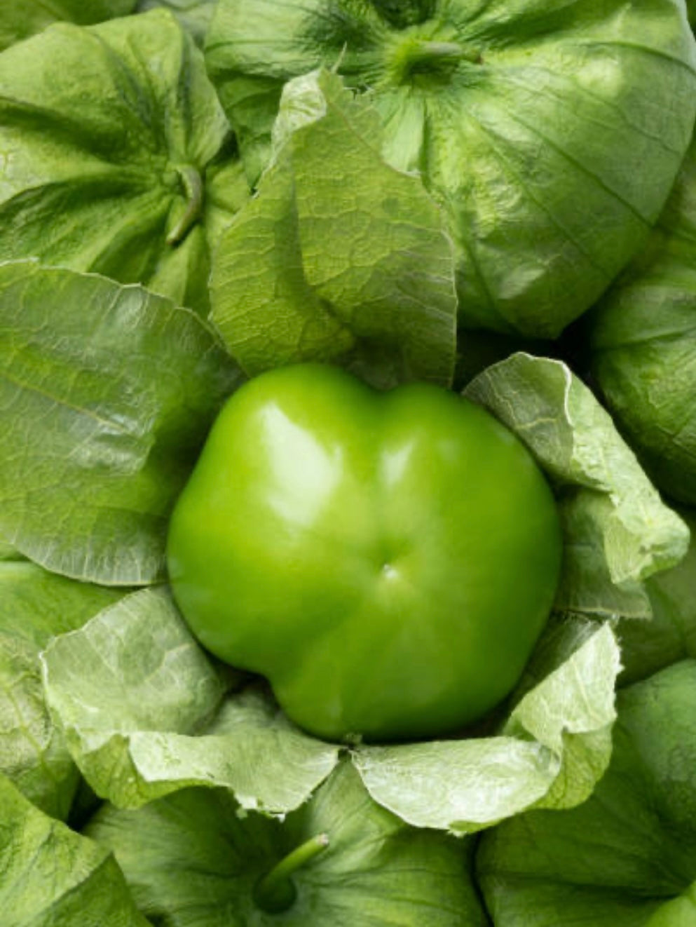 Tomatillo - 8lb Case