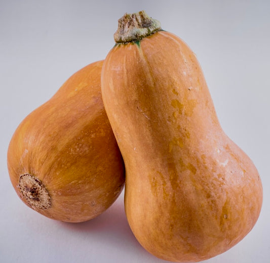 Squash - Honeynut 15lb