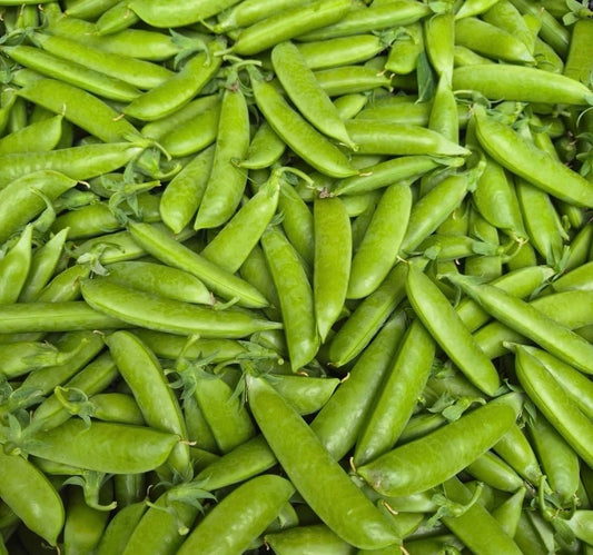 Sugar Snaps from Matt Fry - 10lb