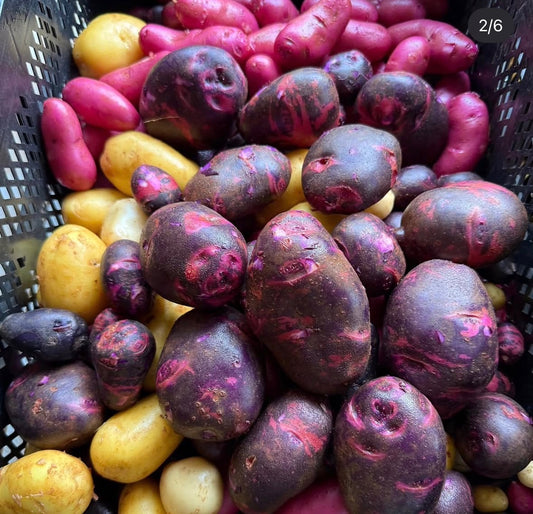Potatoes, New - Matt Fry’s Summer Medley - 10lb