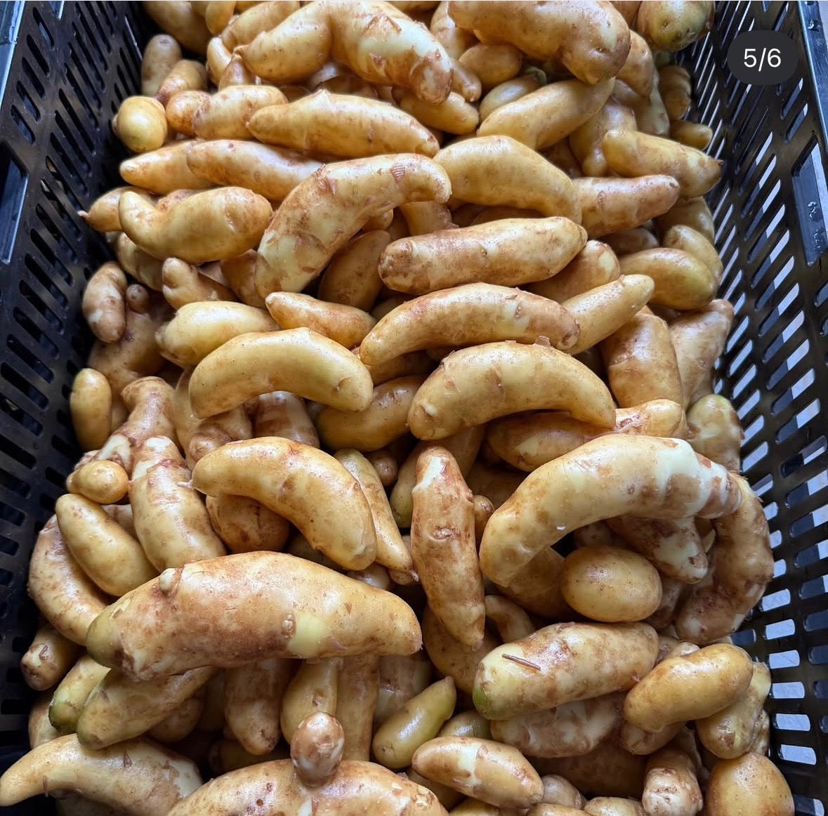 Potatoes - Fingerlings - 25lb