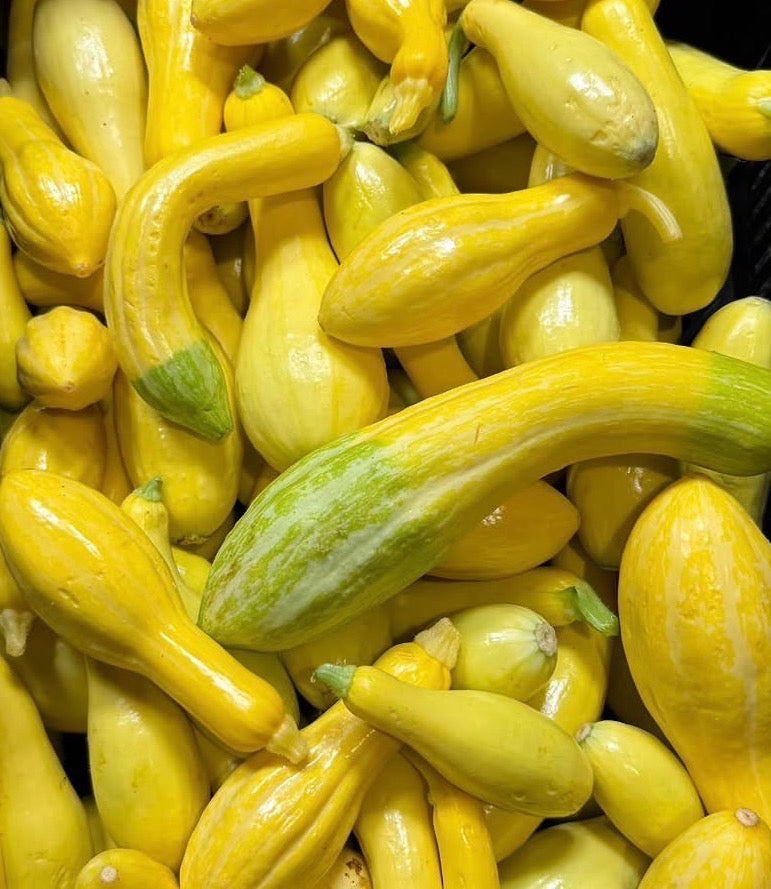 Baby Zucchini Medley - 5lbs