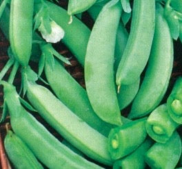 Sugar Ann Snap Peas - 4# case